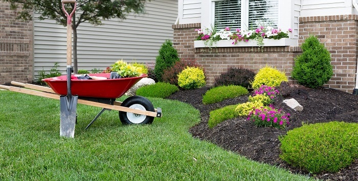10 Landscaping Ideas and Design Tips for Your Home
