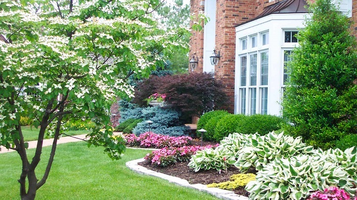 Get Professional Landscaping Services for Your Garden