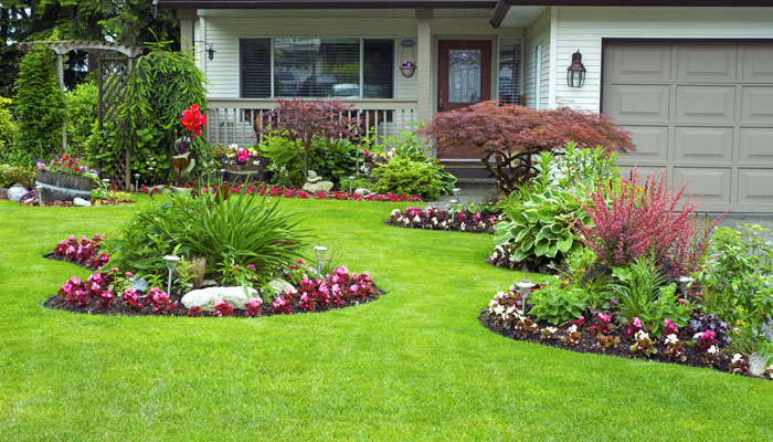 Landscaping Services in Arncliffe